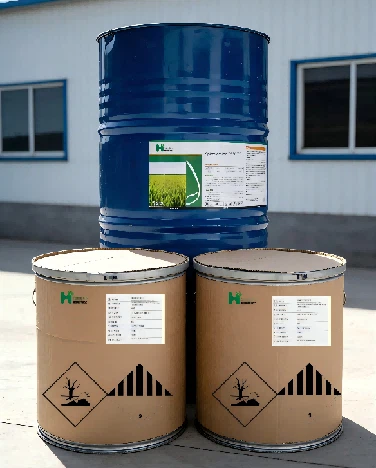 Technical Concentrate